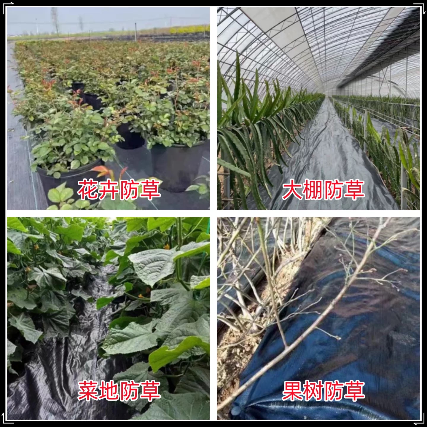 玉溪市工程膜防草布 - 方案